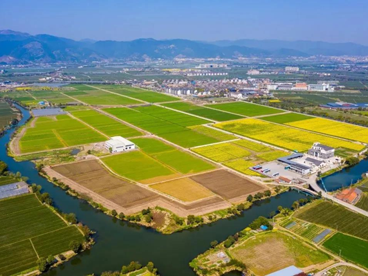 打造高標準農(nóng)田建設古林樣板 夯實寧波現(xiàn)代農(nóng)業(yè)發(fā)展基礎